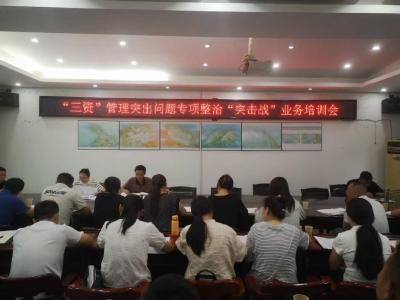 通城县麦市镇召开农村集体“三资”管理突出问题专项整治“突击战”业务培训会
