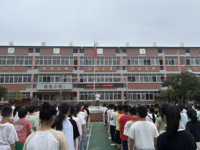 通城县麦市镇陈塅完小开展2025年秋季禁毒宣传教育系列活动