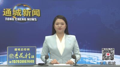 视频-县委平安通城建设和扫黑除恶斗争领导小组2025年第三次会议召开 