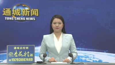 视频-黄建平主持召开县委常委会2025年第27次会议 