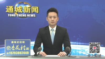 视频-中共通城县委十五届八次全体会议举行 全面构建现代化产业体系 奋力打造绿色高端区域性制造业强县 