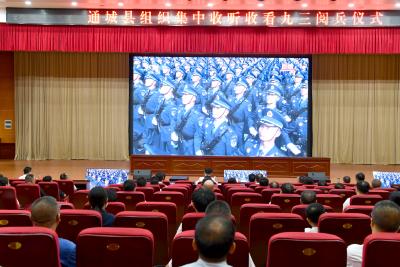 通城：各界观看阅兵盛典 纪念抗战胜利80周年