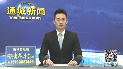 视频-2025年第15次通城县政府常务会议召开 