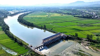 湖北通城：水闸加固提质 河道治理增效