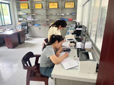 通城县关刀镇党建办工作人员深入各村（社区）开展基层党建工作