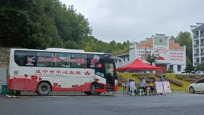 通城县四庄乡组织志愿者参与无偿献血活动