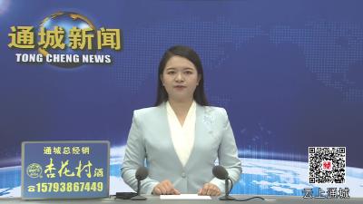 视频-通城县人大常委会开展代表建议办理专题视察 