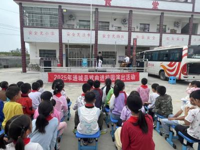 通城县大坪乡达丰完小开展戏曲进校园活动