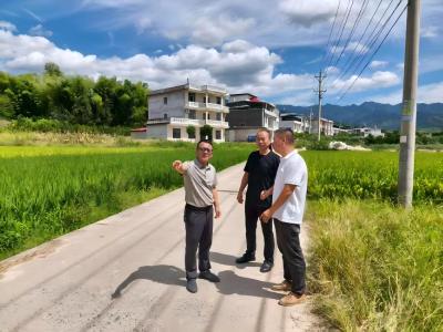 通城县大坪乡：人大代表进乡村屋场 共商交通建设新篇