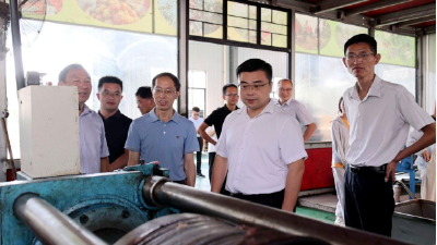 才聚咸宁 共建支点丨通城县人才周活动精彩纷呈 多领域成果丰硕
