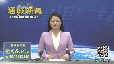视频-才聚咸宁 共建支点丨2025年咸宁人才周通城系列活动之中药材产业发展技术研讨会举行 