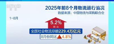 经济血脉更畅通：前8月社会物流总额229.4万亿背后的活力与韧性