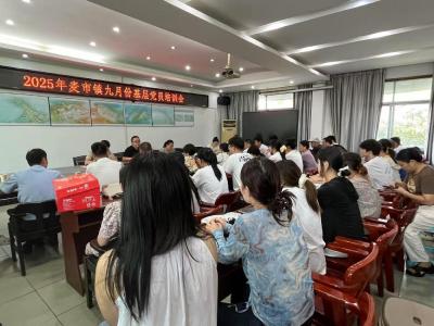 通城县麦市镇：集中培训夯基础 下沉服务树新风