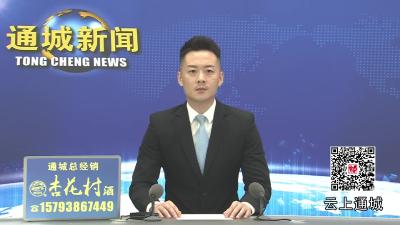 视频-通城油茶科技小院揭牌成立