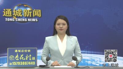 视频-杨修伟督办入河排污口整治工作 