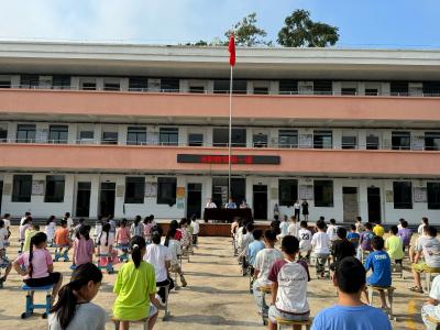 通城县沙堆镇天灯岭完小开展法制宣传教育活动