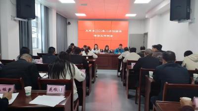 通城县大坪乡召开综治信访工作例会