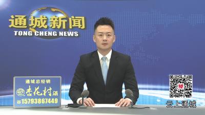 视频-通城县召开2025年第四季度经济运行研判暨“十五五”规划项目向上对接工作会 