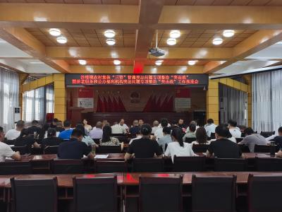 通城县沙堆镇召开农村集体“三资”管理及养老服务和公办福利机构突出问题专项整治“突击战”工作推进会