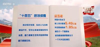 “十四五”对账单｜美丽中国建设迈出重大步伐 “绿水青山”绘就生态画卷