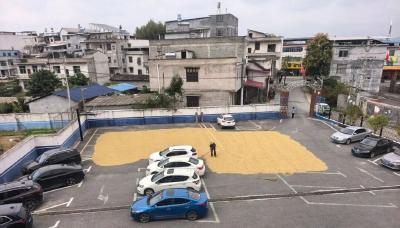 通城警营院落变身“晒谷场” 为民服务暖人心