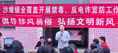 通城县沙堆镇：以“双轮驱动”破题乡村治理 绘就和美乡村新画卷