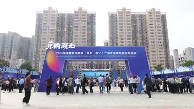 视频-2025鄂湘赣毗邻地区（湖北·咸宁）产销大会文艺演出火爆吸睛 