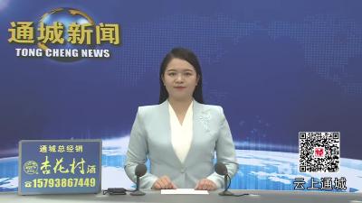 视频-黄建平在全县招商引资工作座谈会上强调： 坚持大招商招大商招好商 为通城经济高质量跨越式发展注入强劲动能