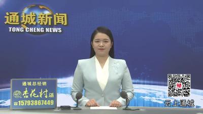 视频-2025年第17次通城县政府常务会议召开