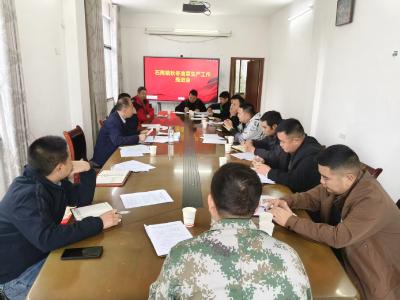 通城县石南镇：全力抓好秋冬油菜生产管理