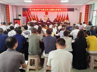 通城县麦市镇：打出“科技+联动”组合拳 筑牢油茶产业“防护网”