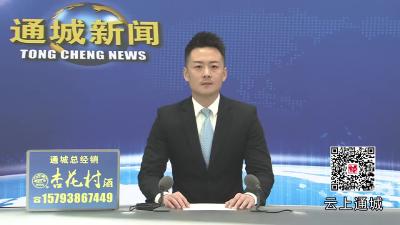 视频-通城：加速项目建设 赋能县域发展