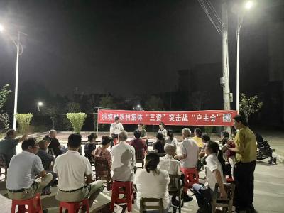 通城沙堆镇：借“三资”户主会东风，提升乡村治理水平