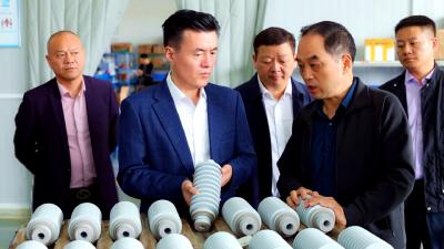 杨修伟率队赴陕西省招商考察