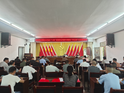 通城县石南镇：靶向破题 筑牢乡村振兴经济基石