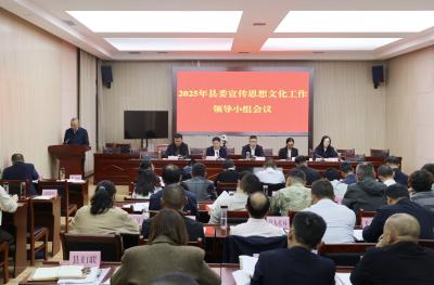 2025年县委宣传思想文化工作领导小组会议召开