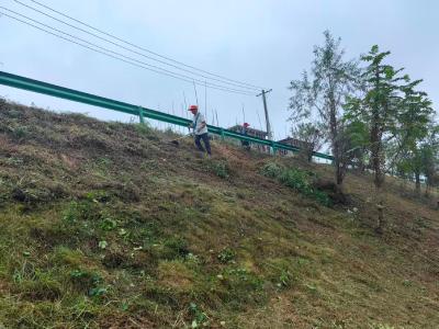 通城县沙堆镇九井社区：杂草清理靓扮健康步道 文明实践赋能集镇环保