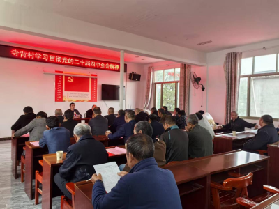 通城县四庄乡寺背村：凝心聚力绘就乡村振兴新图景