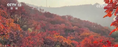 “斑斓秋色+新潮玩法”点燃赏秋游新热力 文旅新消费活力十足
