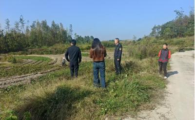 通城县石南镇：多措并举开展森林防火工作