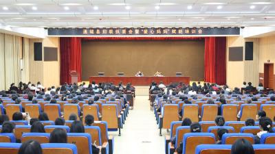 通城县召开妇联执委暨“爱心妈妈”赋能培训会 精准护航“两类儿童”成长