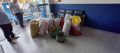 通城警方筑牢油茶基地“防护网” 守护种植户劳动成果