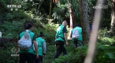 焦点访谈｜国家公园体制改革10周年，这里正在探索一种新模式