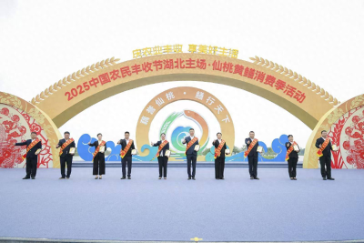 荒山养“飞鸡”，通城郑普雄获评“湖北省十佳农民”
