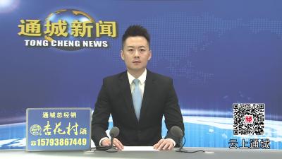 视频-通城：鄂湘赣商贸物流中心招商启幕 