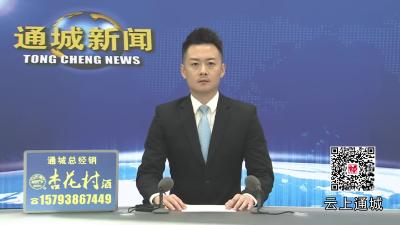 视频-2025年通城县首届全民健身县直组篮球赛圆满闭幕 金融口代表队夺冠