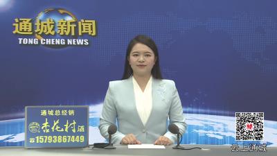 视频-【聚焦药姑山古瑶村】逛古瑶村、品农产品！通城药姑山古瑶村农产展销区成开园热点 