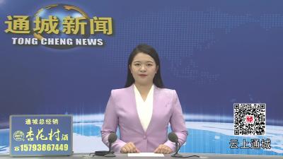 视频-市政协副主席刘中英来通城走访联系专家人才