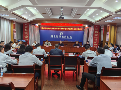 通城县召开金融服务营商环境暨防范非法金融活动工作推进会