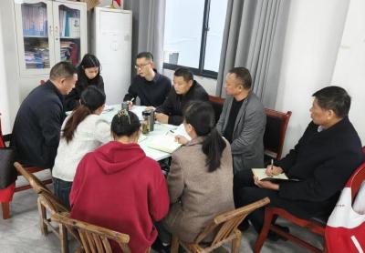 通城县塘湖镇：强化指导推进整改 确保问题清零见实效